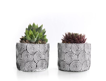 MINI SUCCULENT IN WHITE PATTERNED CERAMIC (PACK OF 2)